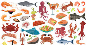 all seafood all seafood