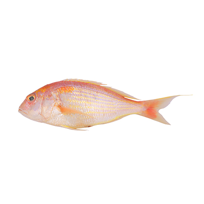 kerisi kerisi